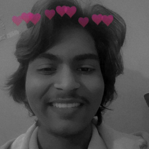 Ayush  P. profile photo