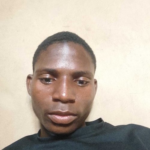Buzkido H. profile photo