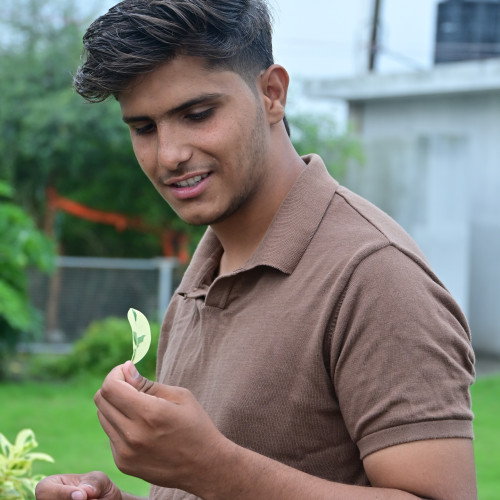 Ayush C. profile photo