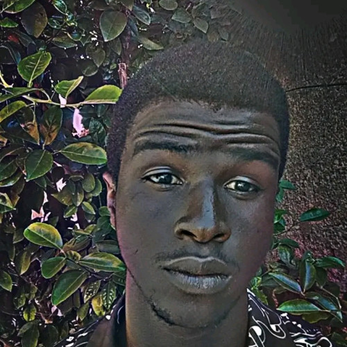 David E. profile photo