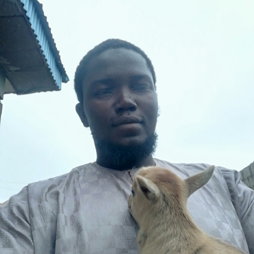 Abdulazeez  A. profile photo