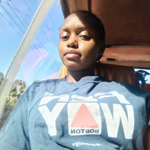 Lizzie Y. profile photo