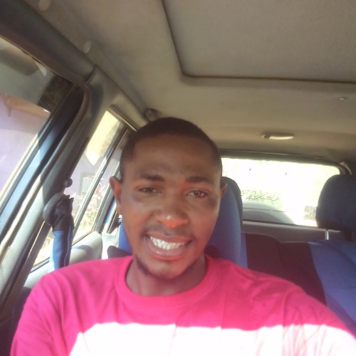 Kingsley  N.