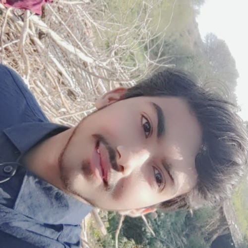 Satyam  S.