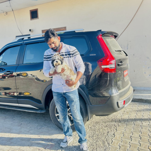 Tanish A. profile photo