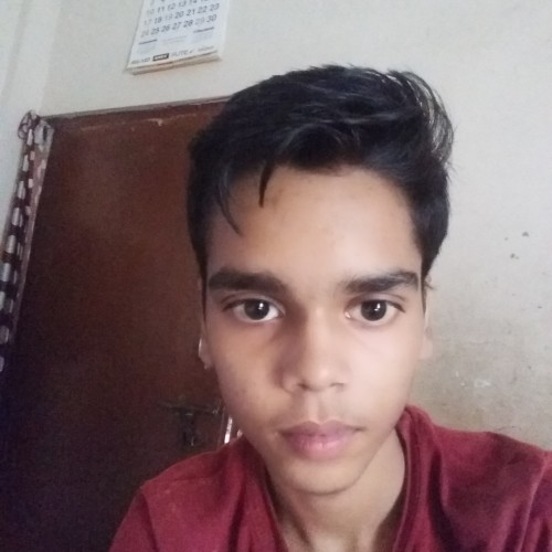 Aditya S.