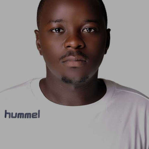 Ray N. profile photo