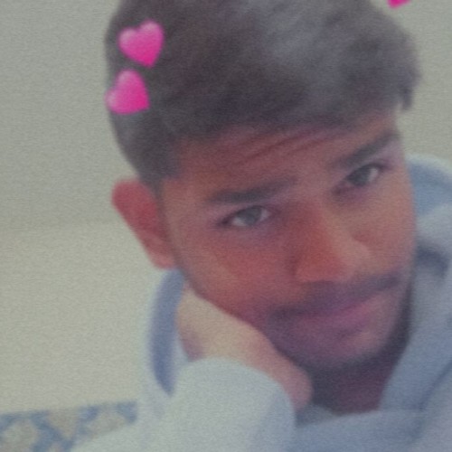 Vikram K. profile photo