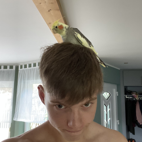 Mailo P. profile photo
