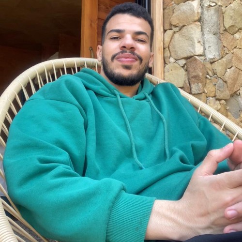 ELHOUSSEINS I. profile photo