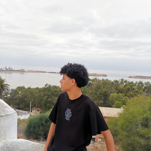 Houssam A. profile photo