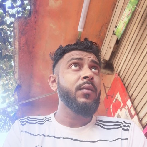 Hasibul Islam S. profile photo