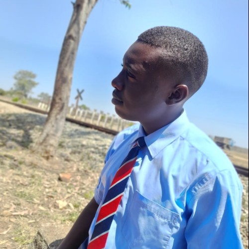 Mukudzei  T.