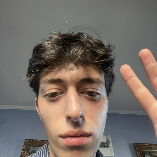 niku s. profile photo