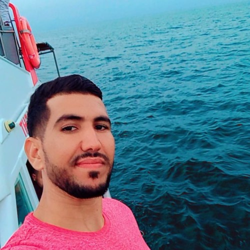 Abdelmajid S. profile photo
