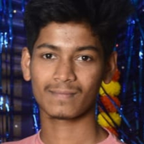 Ayush  P.