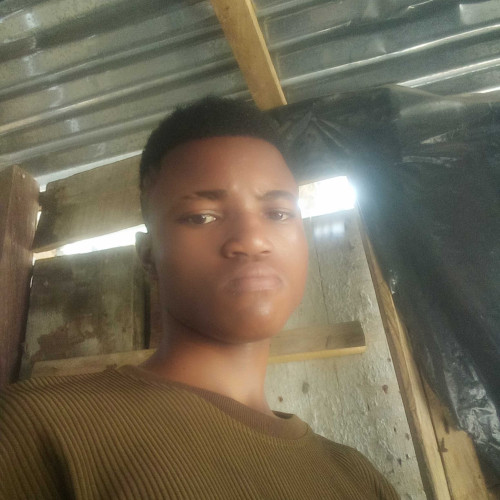 King k. profile photo