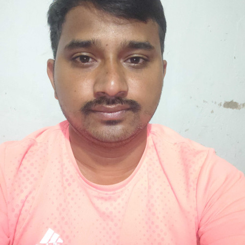 Dileep N.