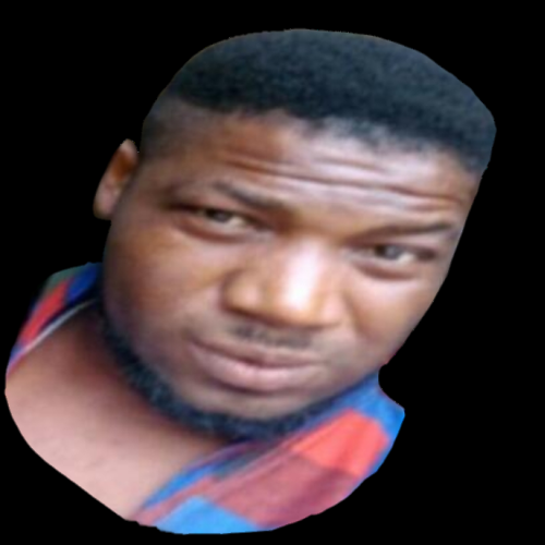 Ikenna N. profile photo