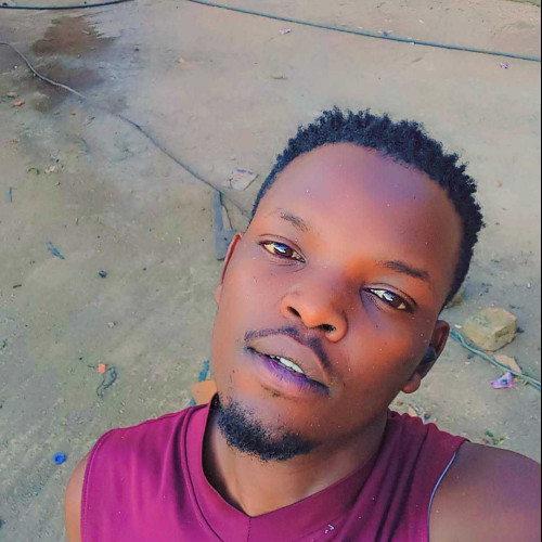 owen m. profile photo