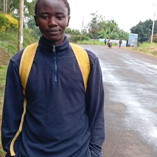 Steve  N. profile photo