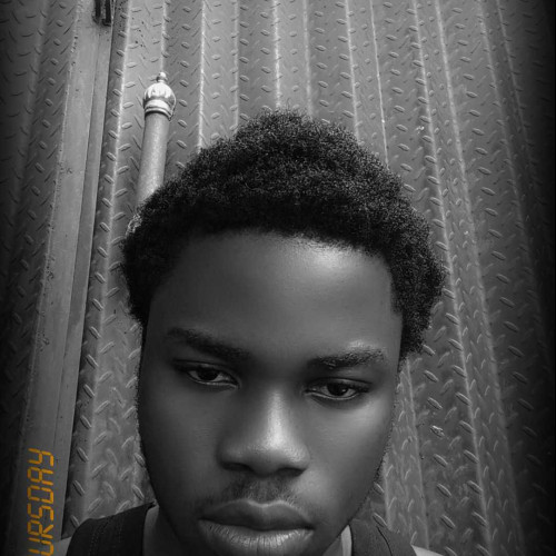 Passino p. profile photo