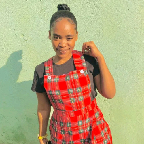 Sinenhlanhla N. profile photo