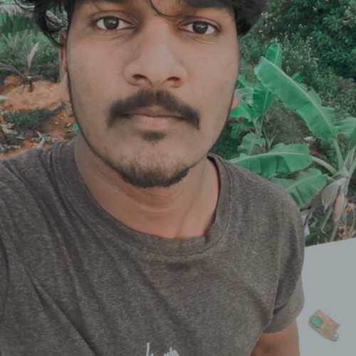 Arulmoorthy A.