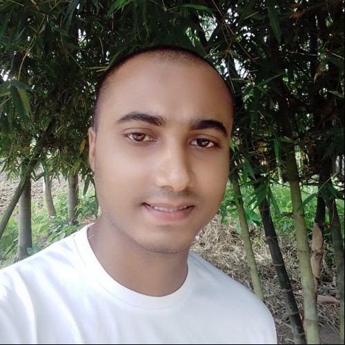 MD. BIPUL S.