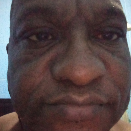 Ingo H. profile photo