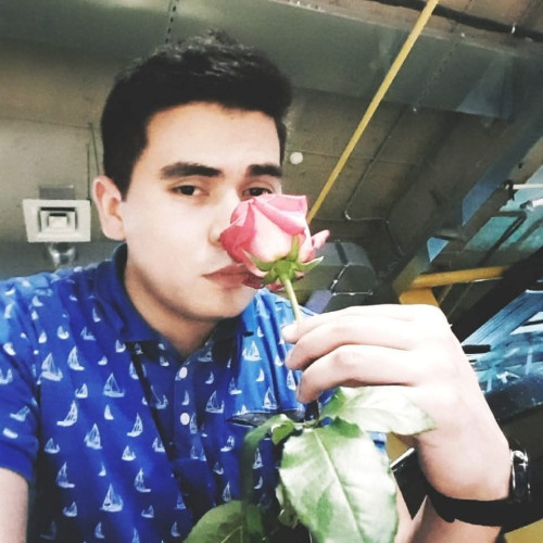 August B. profile photo
