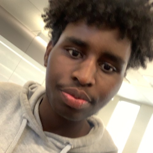Ali H.