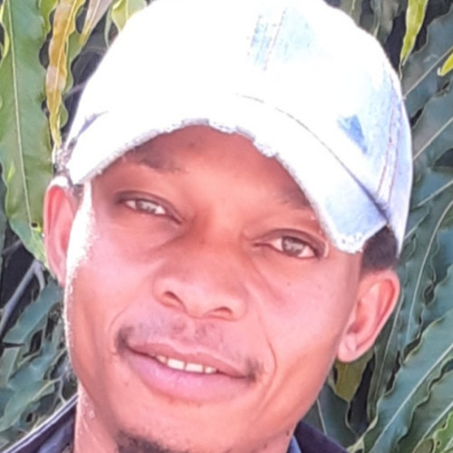 Amani M. profile photo