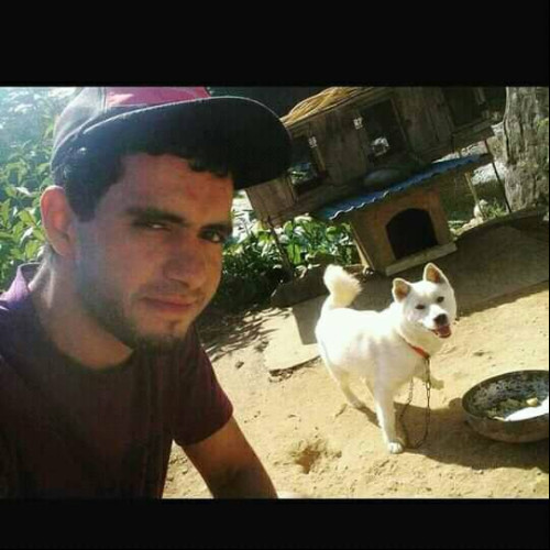 Hicham A. profile photo