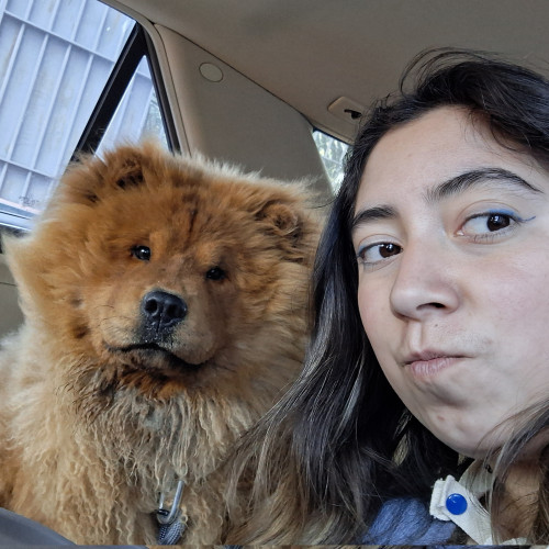 Shudy H. profile photo
