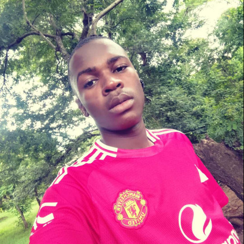 david m. profile photo