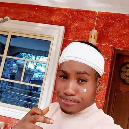 ostin s. profile photo