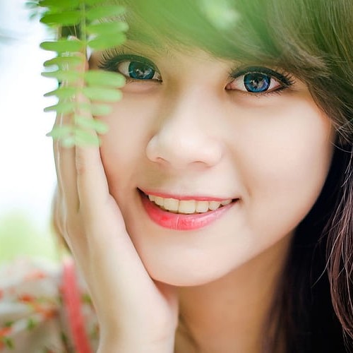 komal n.