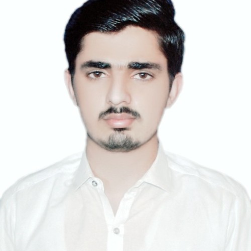 Haseeb M.