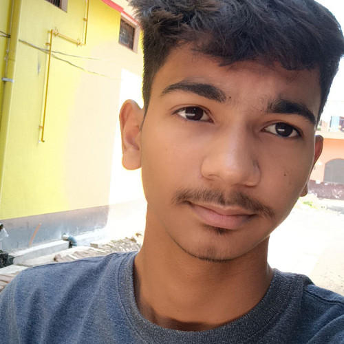 Sarthak P. profile photo