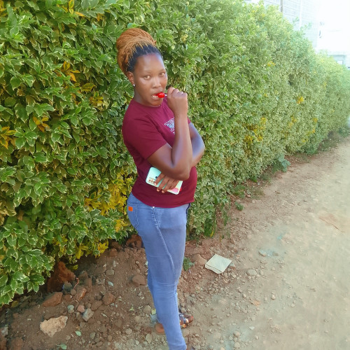 Shevster M. profile photo