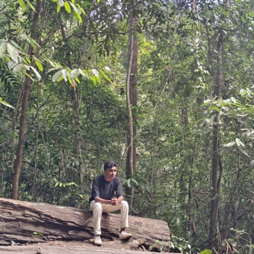 Yashu Y. profile photo