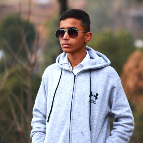 Muhammad Hamza N.