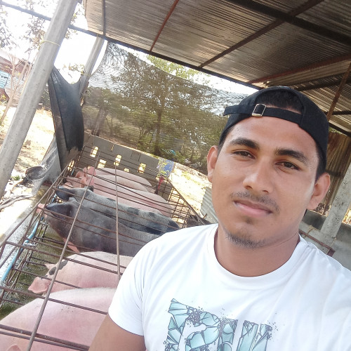 Brayan P. profile photo