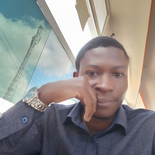 Bravingtone O. profile photo