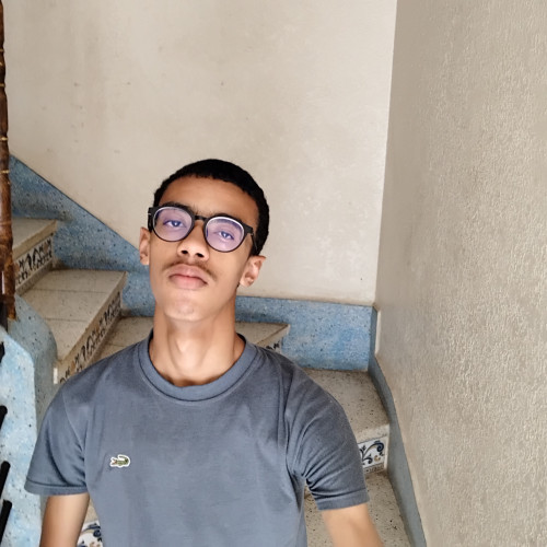 Souhaib  N.