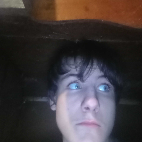 Matthew H. profile photo