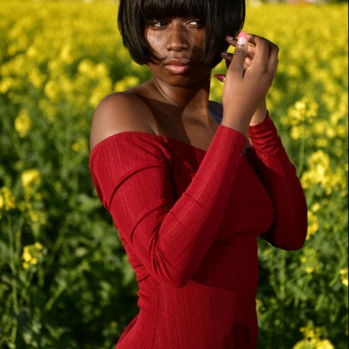 Kim J. profile photo