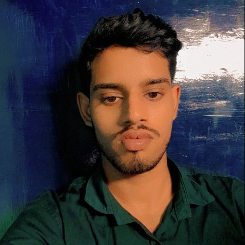 Vinayak  S. profile photo