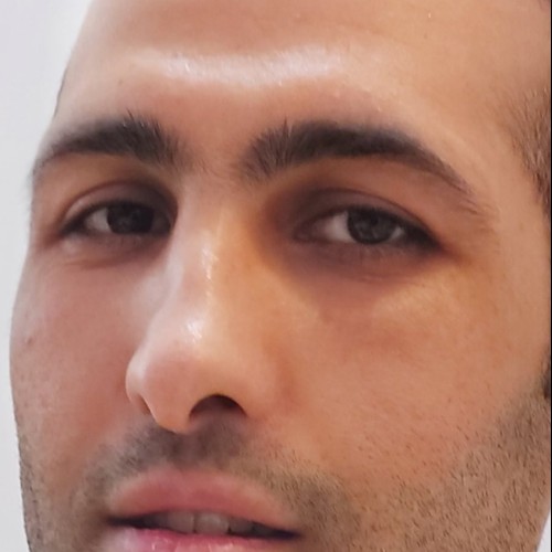 Omid Z.